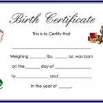 Printable Birth Certificate Template from wikidownload.com