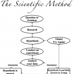 Scientific-Method-Worksheet
