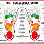 reflexology-foot-chart-2