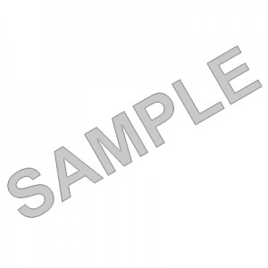 Download Auto Insurance Card Template wikiDownload