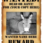 Western Wanted Poster